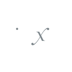 Direxion Daily Semiconductor Bull 3X Shares logo